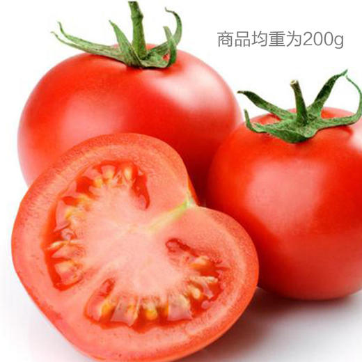 西红柿 商品图0