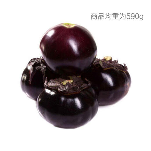 圆茄子 商品图0