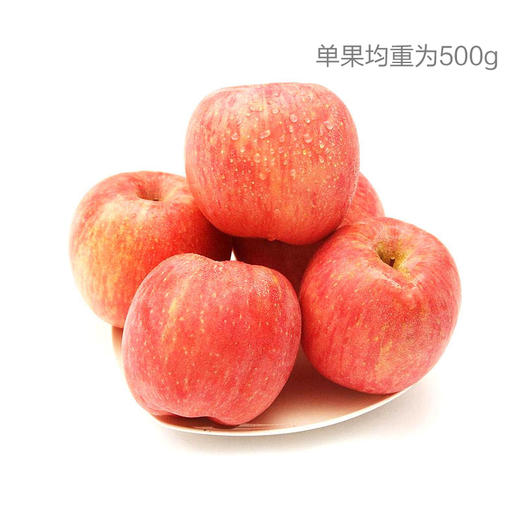 烟台栖霞富士苹果 商品图0