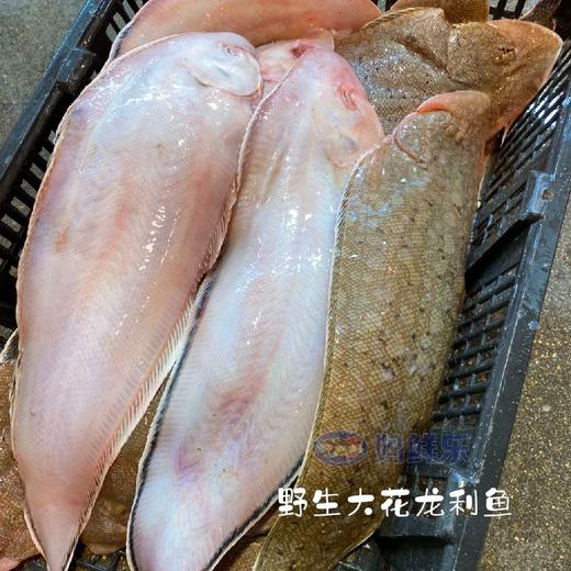 【野生花龙利鱼】野生海捕，肉质细嫩营养丰富！1条400-600克，帮杀好 商品图1