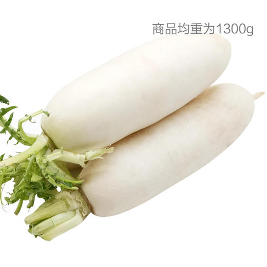 白萝卜 商品图0