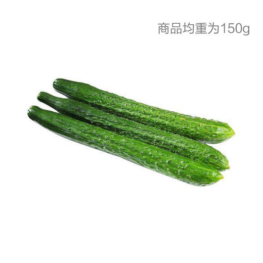 黄瓜 商品图0