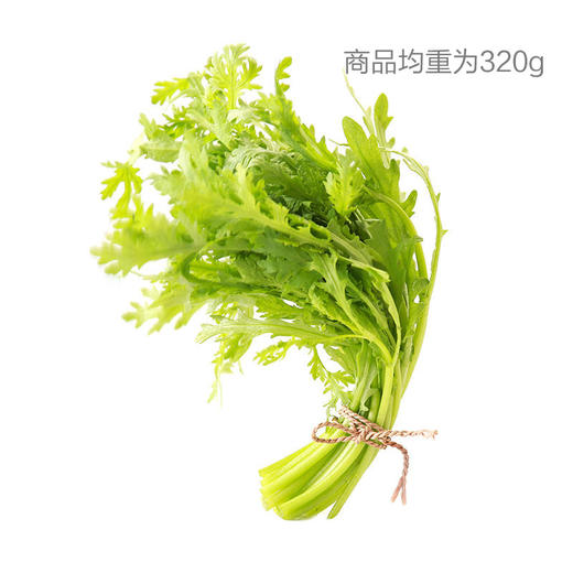 茼蒿 商品图0
