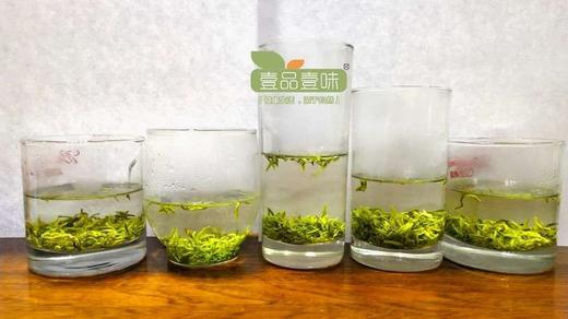 特级碧螺春半斤礼盒装 商品图3