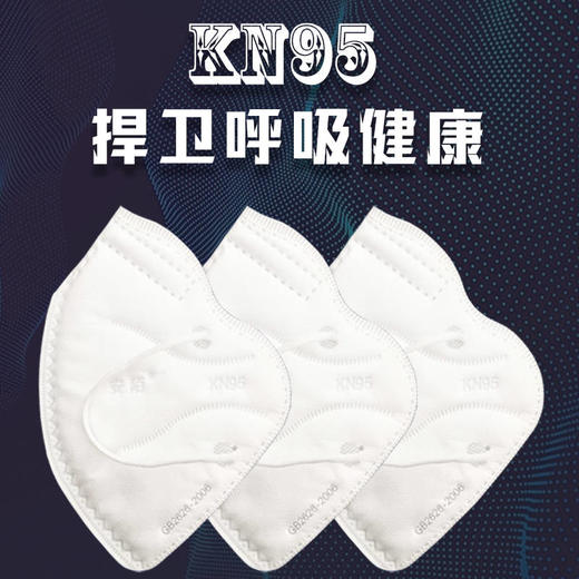 【KN95-10只装现货现发】KN95防尘透气口罩PM2.5防飞沫防风防雾霾 商品图2