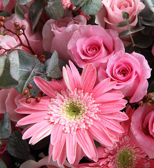 拥抱甜蜜    11支粉佳人，8支糖果玫瑰，尤加利，红豆，5支粉色弗兰搭配（1940） 商品图2