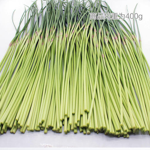 白帽蒜苔 商品图0