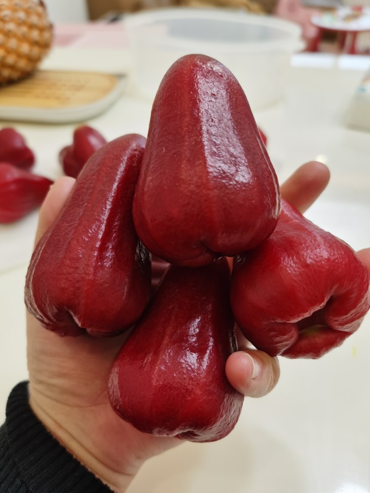 极柚台湾黑金刚莲雾3斤装共约1418个