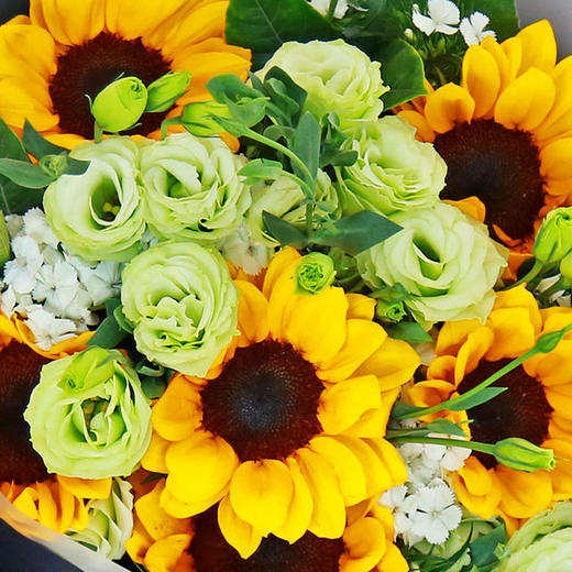 快乐阳光---6朵向日葵，桔梗，相思梅，栀子叶搭配（1507） 商品图2