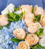 一往情缘   9支香槟玫瑰，2支白玫瑰，一个蓝色绣球，栀子叶搭配！（1953） 商品缩略图2
