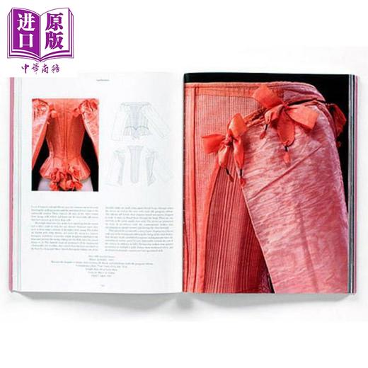 【中商原版】内衣：时装细节 英文原版 Underwear: Fashion in Detail 商品图2