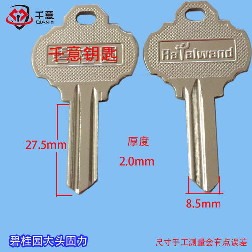 碧桂园大头固力 商品图0