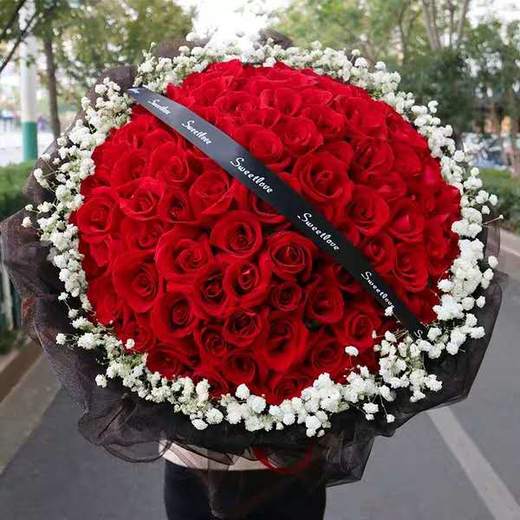 永恒爱恋   99支红玫瑰，满天星搭配（1806） 商品图0