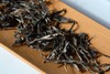 【私藏限量】爱茶人心头好的藤条型古树散茶.2019年头春（125克） 商品缩略图1
