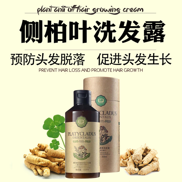 尊荣侧柏叶洗发水310ml控油强根祛去屑洗发露