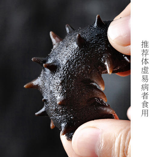 【0.1元+20000积分】【3根】丨极盏·鲜参  大海边的头到鲜  道地辽参  活海参煨制 开袋即食 商品图4