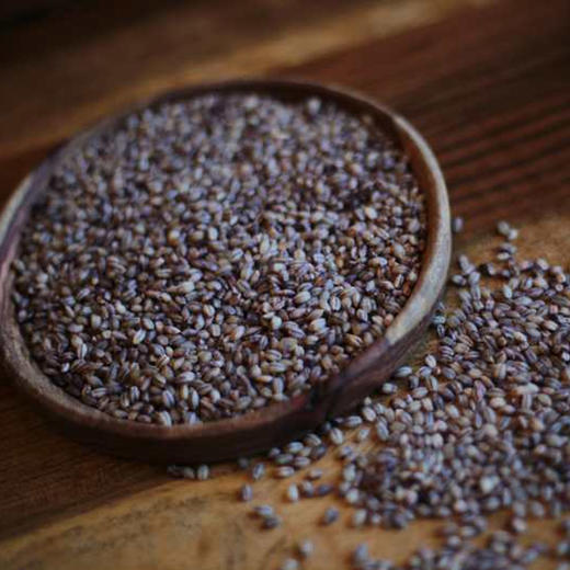 松赞优选 香格里拉高原生态黑青稞粥米 - 松赞商城