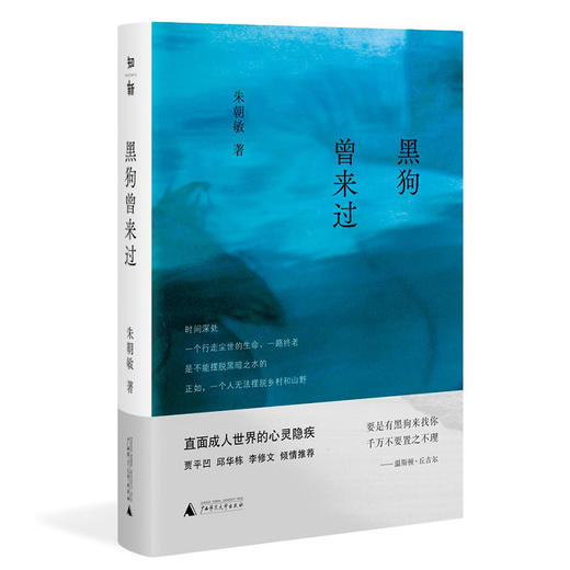 【“云端书展”专区】黑狗曾来过  商品图1