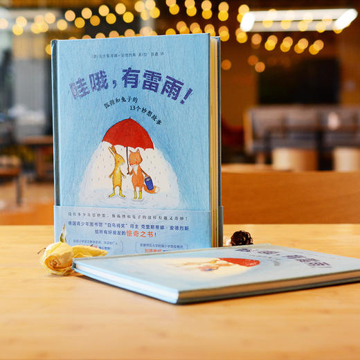 【5-8 岁】哇哦，有雷雨！——狐狸和兔子的13个妙想故事（7-12岁）“全国百班千人读写计划”共读书目！德国青少年图书馆“白乌鸦奖”得主给小朋友的惊奇之书！ 商品图1