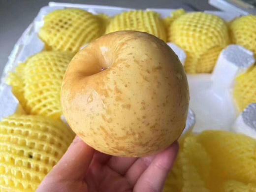 冬恋苹果 商品图1