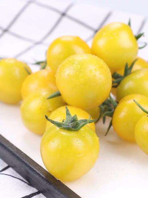 黄玉小柿子圣女果皮薄多汁500g