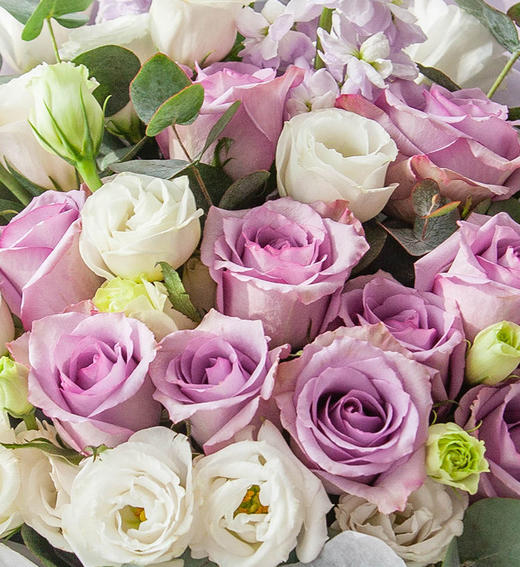 恒久的温暖    紫霞仙子玫瑰11枝、白色洋桔梗10枝、尤加利5枝、浅紫色紫罗兰3枝（1961） 商品图4