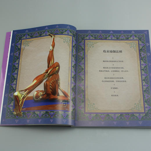 【套装】精zhun瑜伽解剖书（3+4） 商品图3