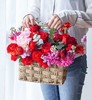 珍爱久久     红康乃馨10枝，红玫瑰10枝，红色洋牡丹10枝，精致花篮一个！（1947） 商品缩略图0