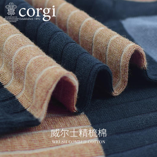 CORGI柯基英国进口男士袜日系暖色调精梳棉薄款条纹间隔中长筒袜 商品图2
