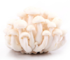白玉菇 150g/包 检测合格，无公害 商品缩略图0