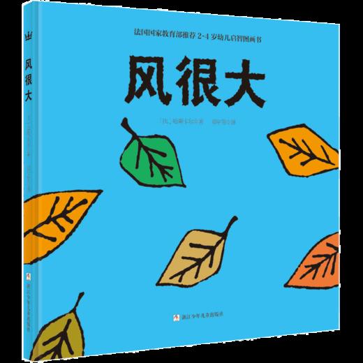 【1-3 岁】风很大（0-3岁）：语言简洁，认知知识丰富。 商品图0