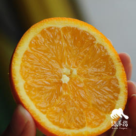 有机脐橙（纽荷尔） | 合作生产 *Organic navel orange | Coproduction