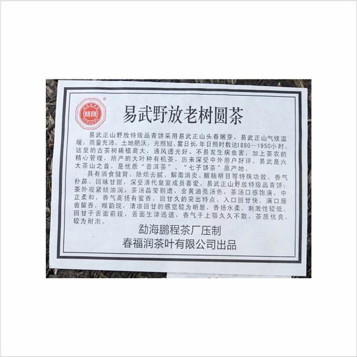 2013年易武野放老树特级品一片生茶（357克/片） 商品图3