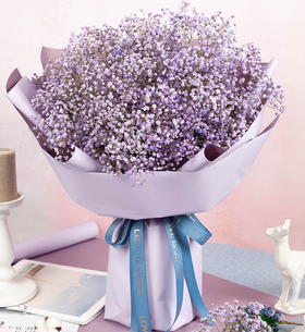 拥有你的真心    满天星一大扎（1951）