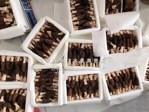 ✈️【香格里拉羊肚菌】滋补山珍（特秀级次日发） 商品图3