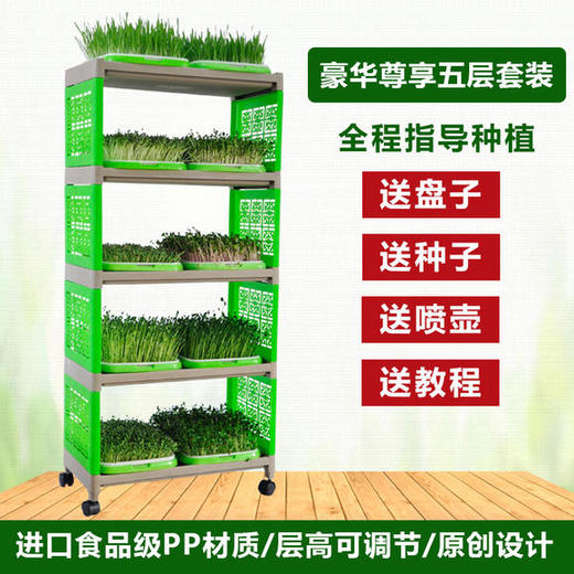 芽苗菜尊享套装 商品图1