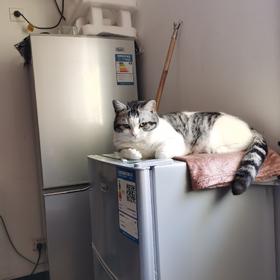 测试商品啊啊啊啊