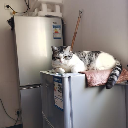 测试商品啊啊啊啊 商品图0