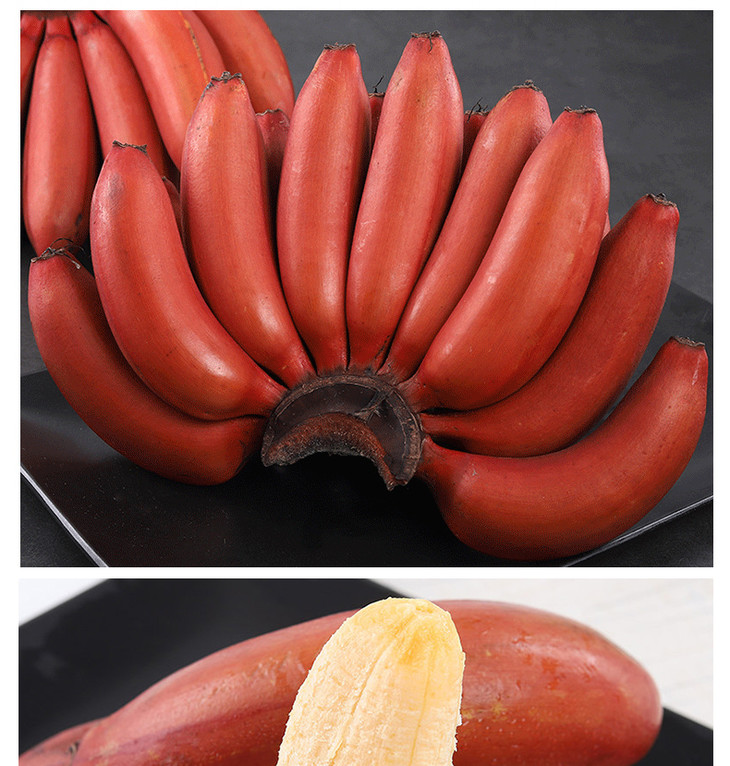 福建红美人香蕉软糯香甜无涂抹催熟剂产地直发