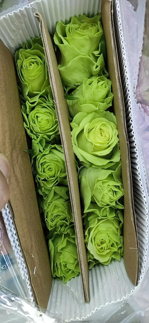 海盛玫瑰迷彩绿色10支扎