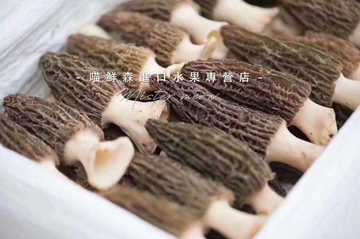 ✈️【香格里拉羊肚菌】滋补山珍（特秀级次日发） 商品图2