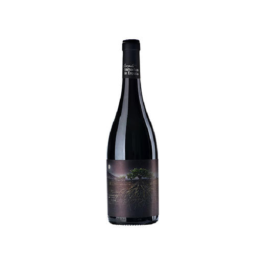 西班牙2014老树藤105干红 商品图3