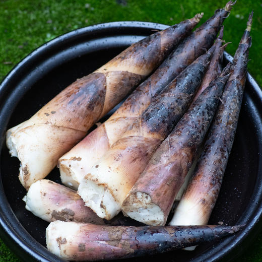 春笋（2斤） 商品图1