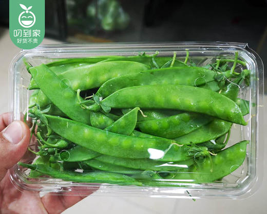 【叼鲜蔬】同安新鲜荷兰豆/1份（约700g） 商品图3