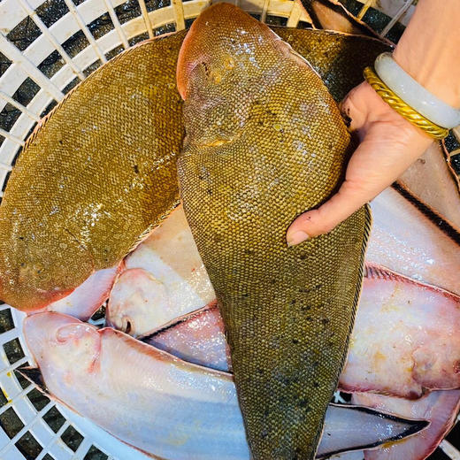 海鲜精选东山海鲜61野生活鲜龙利鱼顺丰冷链肉质以嫩出名没有小刺