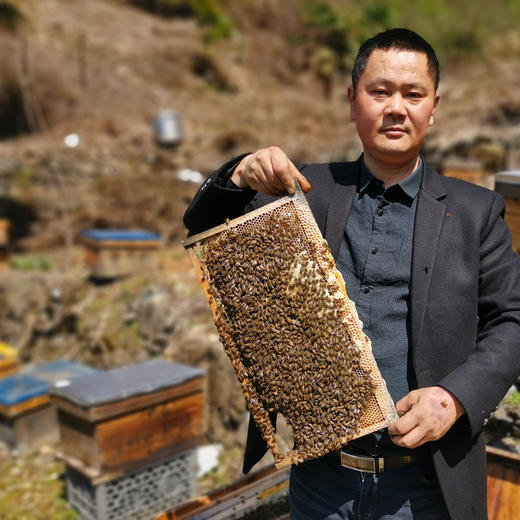 杭州临安陈红建家的枇杷蜜 自然香味浓 商品图0