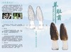 ✈️【香格里拉羊肚菌】滋补山珍（特秀级次日发） 商品缩略图7