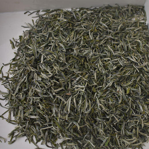2025新茶明前早春贡芽宝子茶尊玺300g 商品图3