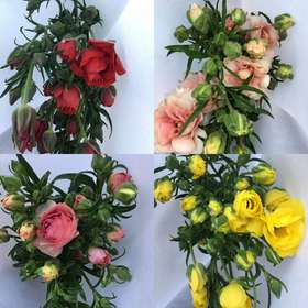 蝴蝶洋牡丹随机10扎