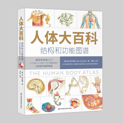 人体大百科 结构和功能图谱 商品图0